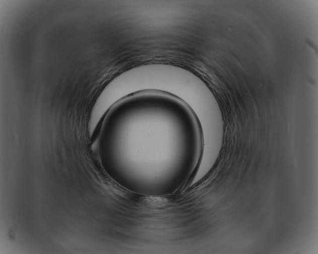 X0000091880429200709191200