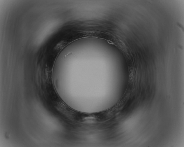 X0000091880430200709191200