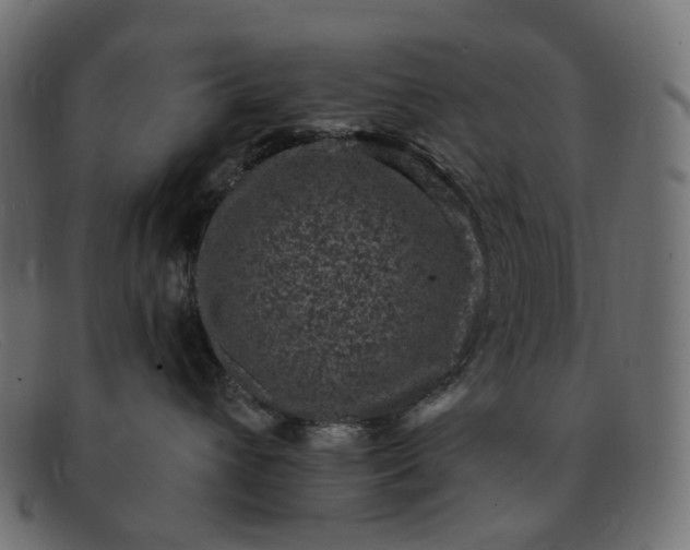 X0000091880432200709191200