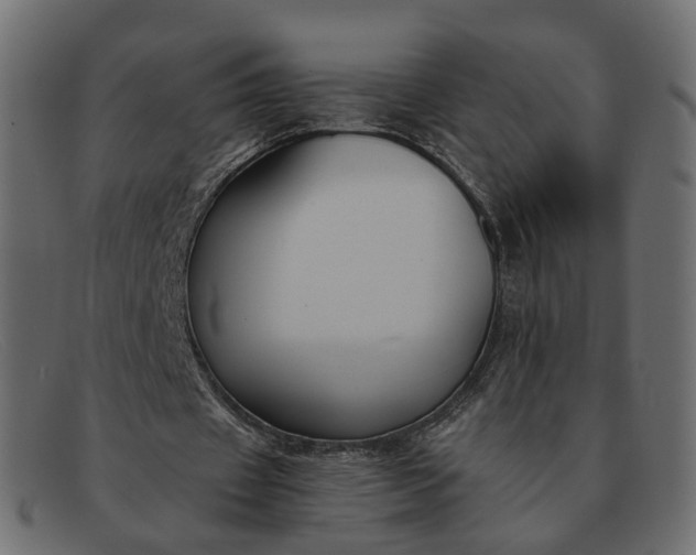 X0000091880433200709191159