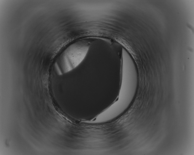 X0000091880434200709191159