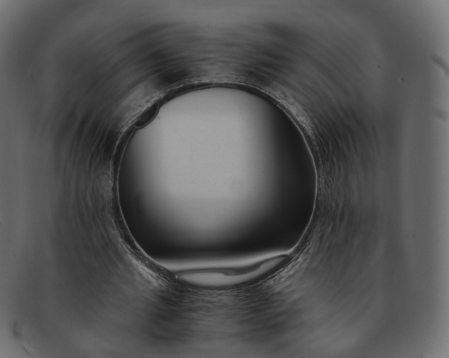 X0000091880437200709191200