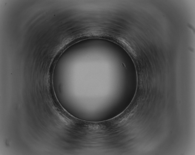 X0000091880439200709191200