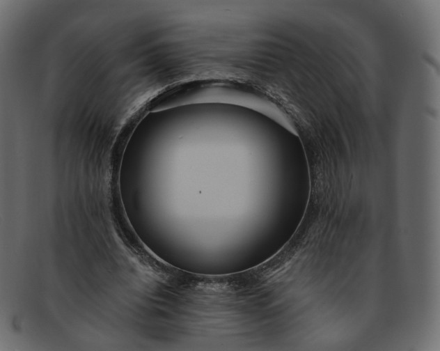 X0000091880440200709191200