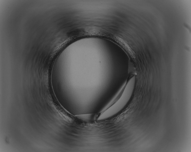 X0000091880442200709191200