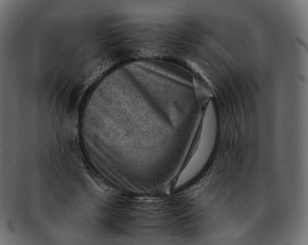 X0000091880443200709191200