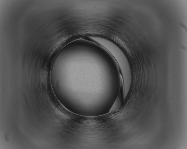 X0000091880444200709191200