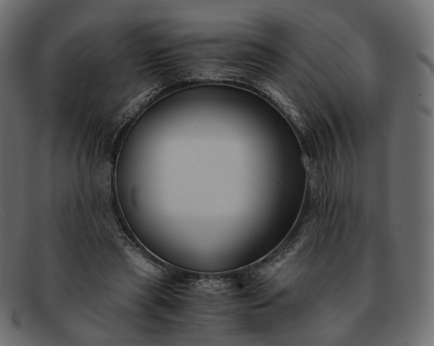 X0000091880445200709191200