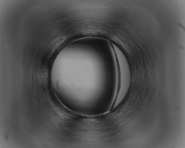 X0000091880448200709191200