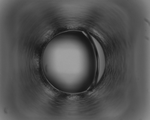 X0000091880452200709191200