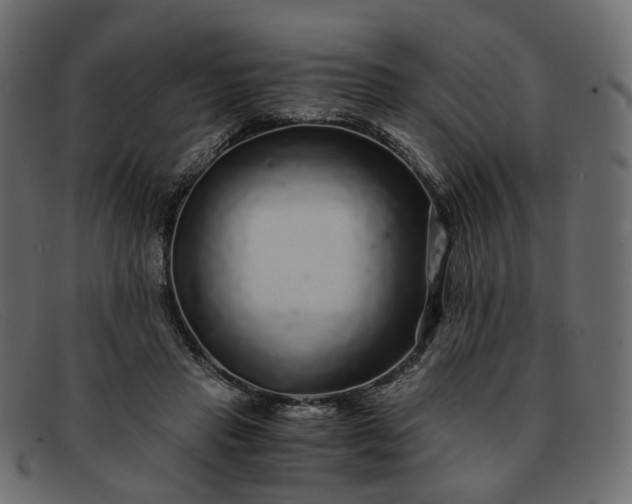 X0000091880453200709191200