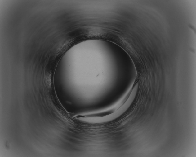 X0000091880454200709191200