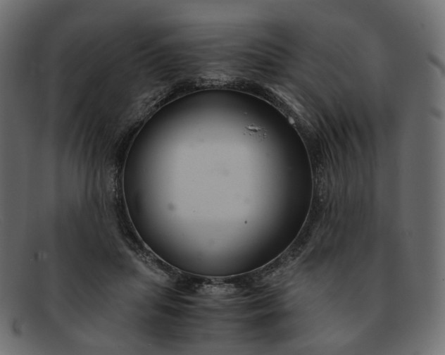 X0000091880455200709191200