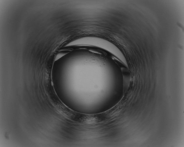 X0000091880456200709191200