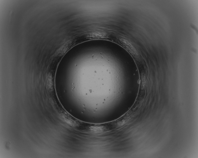 X0000091880457200709191200