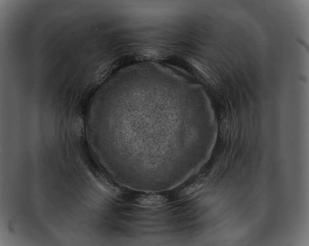 X0000091880459200709191200