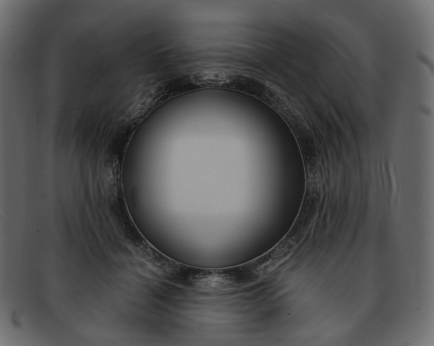 X0000091880460200709191200