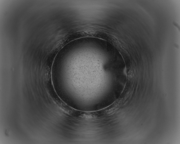 X0000091880464200709191200