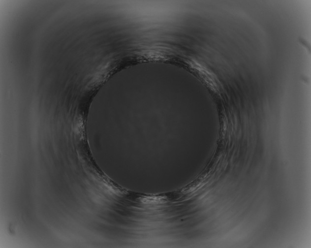 X0000091880465200709191200