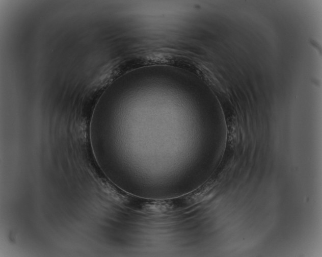 X0000091880466200709191200