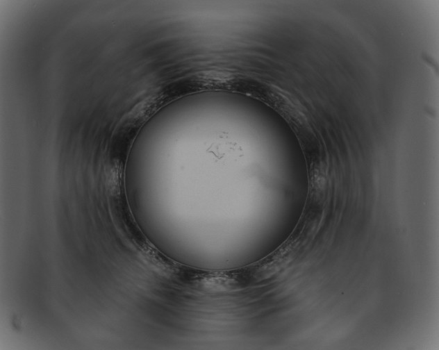 X0000091880468200709191200