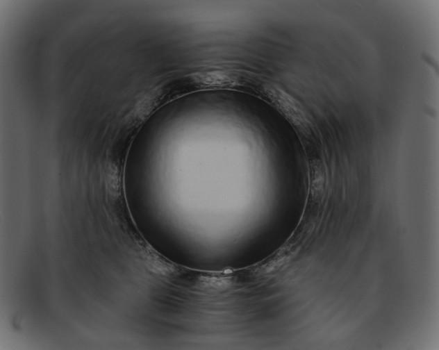 X0000091880469200709191200