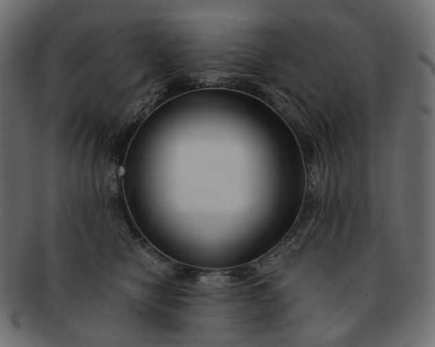 X0000091880470200709191200