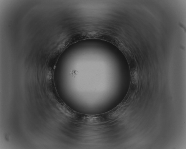 X0000091880472200709191200