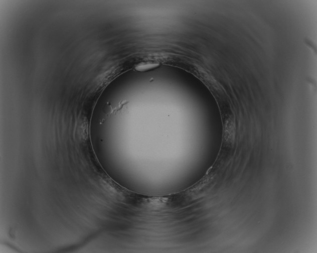 X0000091880474200709191200