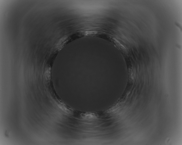 X0000091880475200709191200