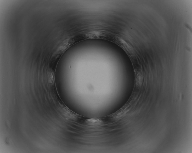 X0000091880477200709191200