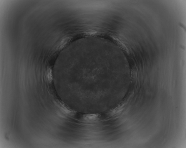 X0000091880479200709191200