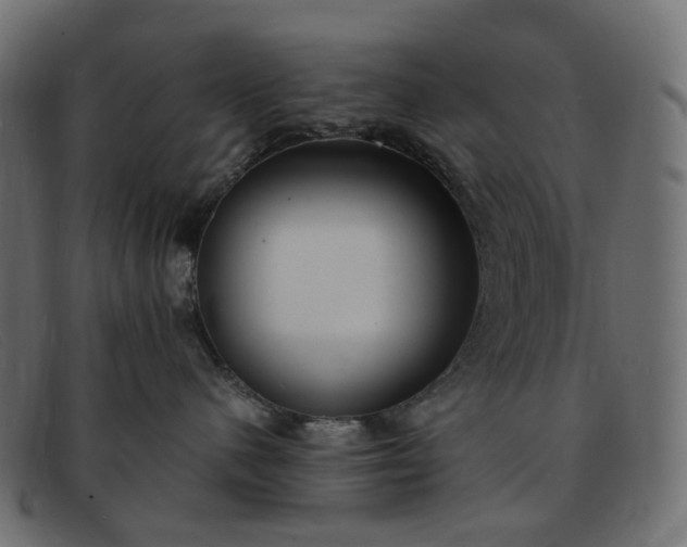 X0000091880480200709191200