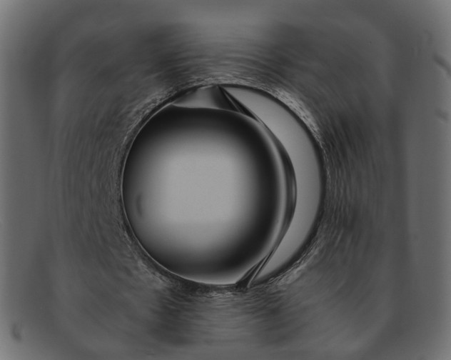 X0000091880481200709191159