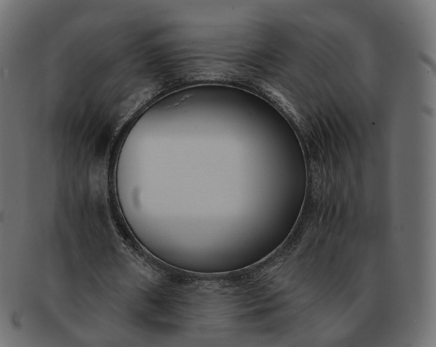 X0000091880482200709191159