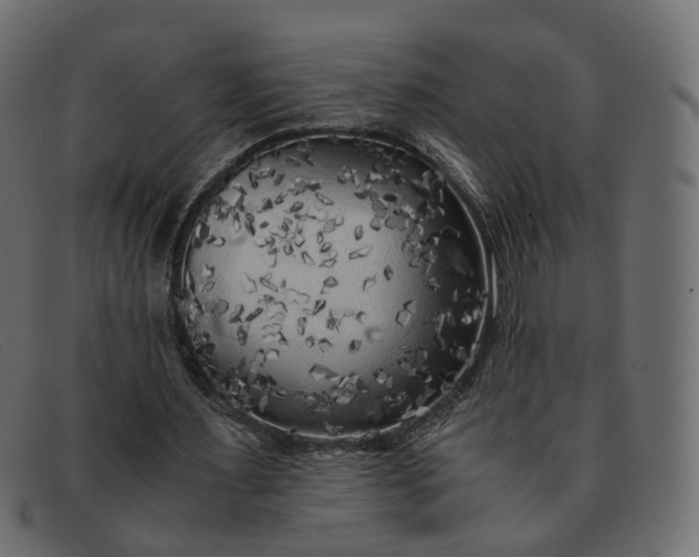 X0000091880483200709191159