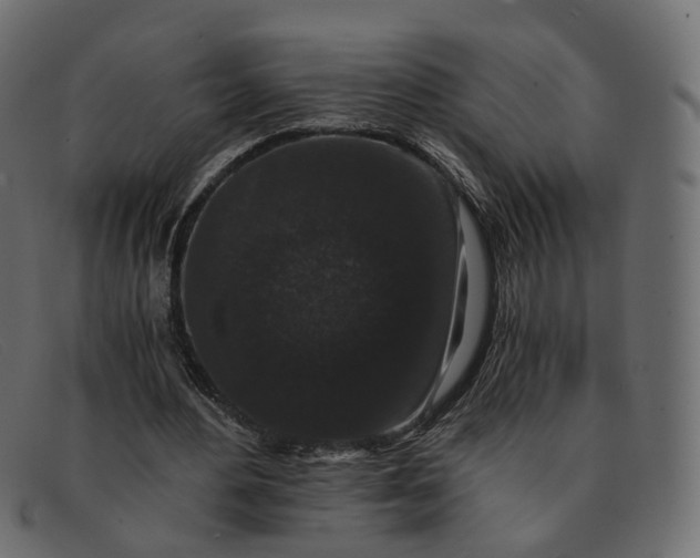 X0000091880484200709191159