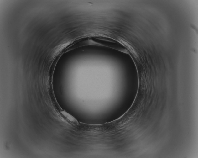 X0000091880485200709191159