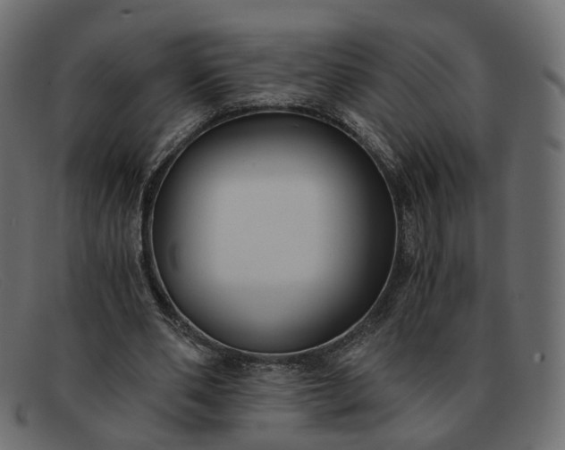 X0000091880486200709191159