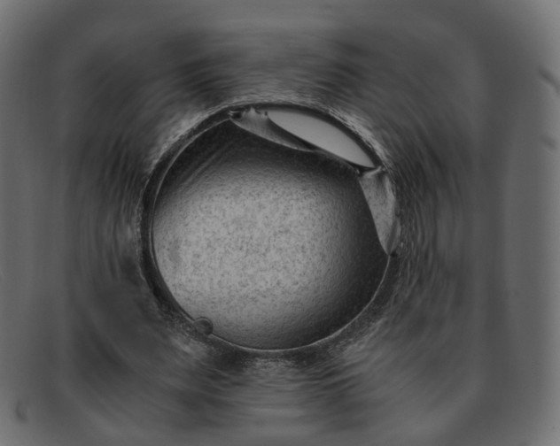 X0000091880487200709191159