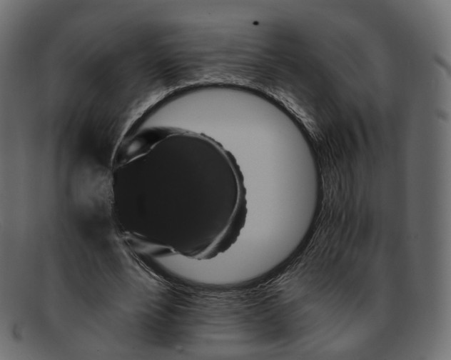 X0000091880488200709191159