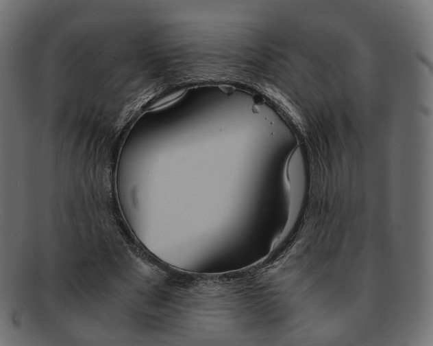 X0000091880489200709191159