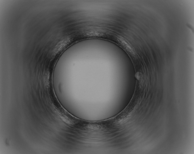 X0000091880490200709191159