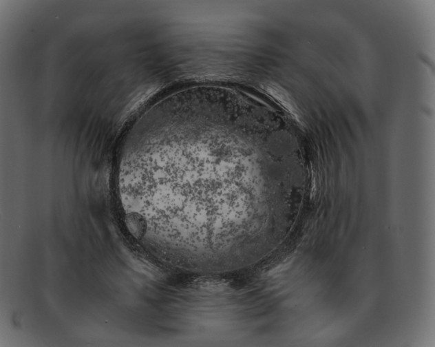 X0000091880491200709191159