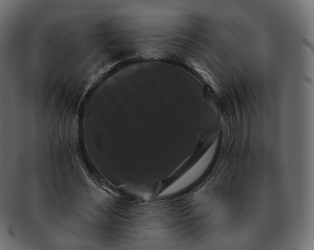 X0000091880492200709191159