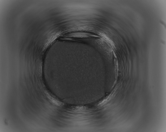 X0000091880493200709191159