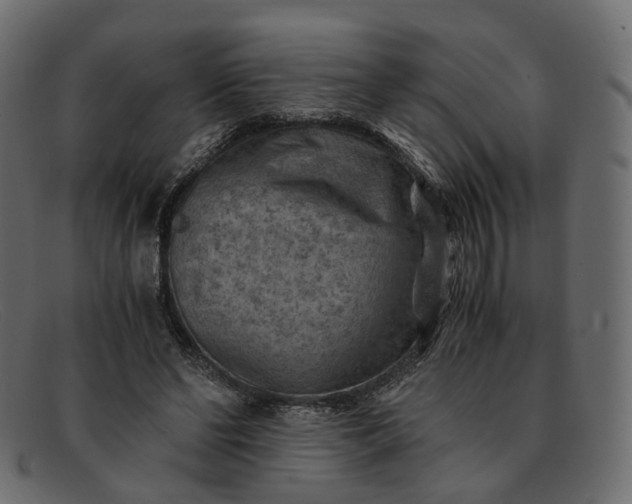 X0000091880494200709191159