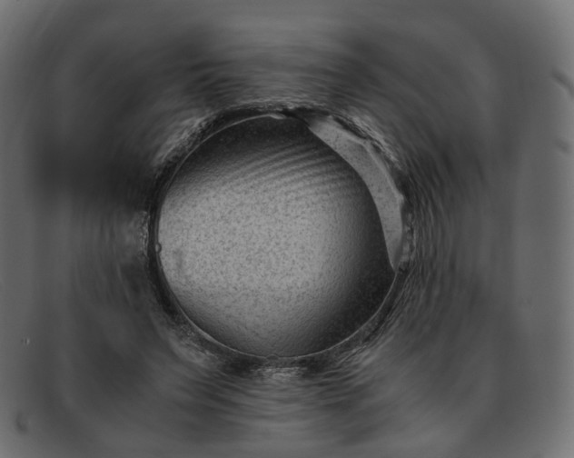 X0000091880495200709191159