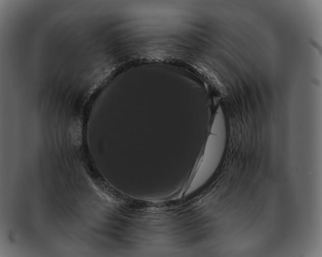 X0000091880496200709191159