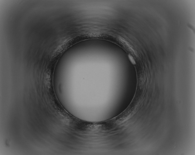 X0000091880497200709191159